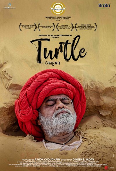 Turtle