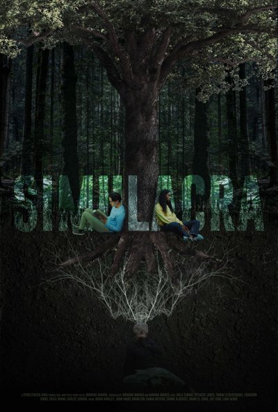 Simulacra