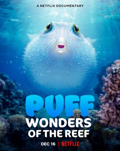 Puff Wonders of the Reef