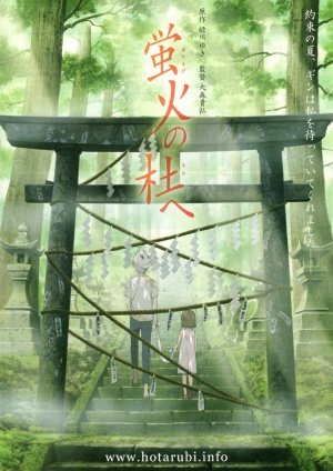 To the Forest of Firefly Lights