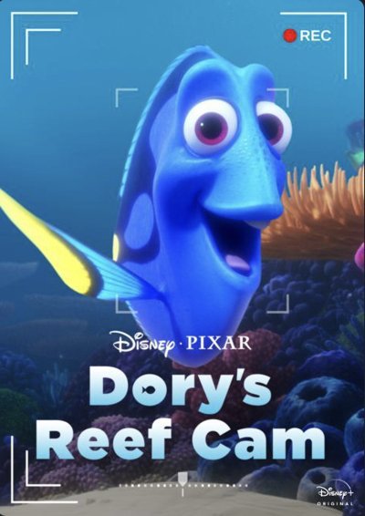 Dorys Reef Cam